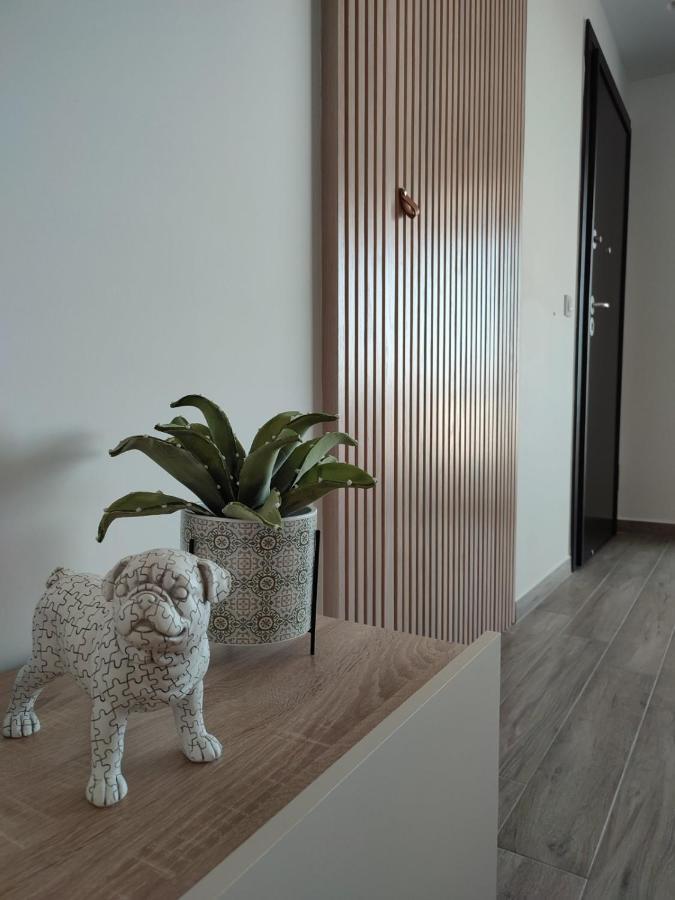 Vagiana Apartment Διαμέρισμα Κοντά Στο Αεροδρόμιο Antimachia エクステリア 写真